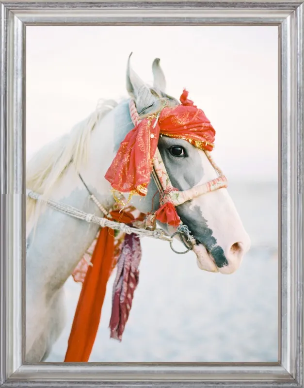 Marwari by Andrew Jacona for Artfully Walls
