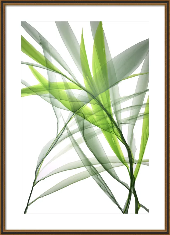 Tropical Study no. 3 by Marina Dunbar  for Artfully Walls