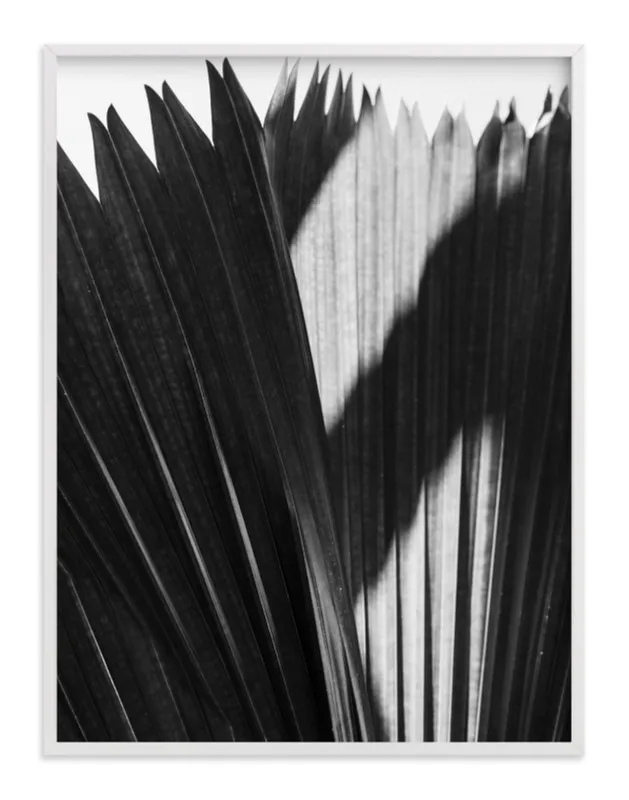 Palmery 2 Limited Edition Fine Art Print