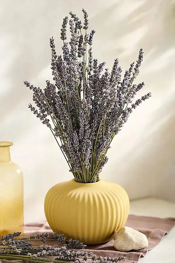 Dried French Lavender Bunch