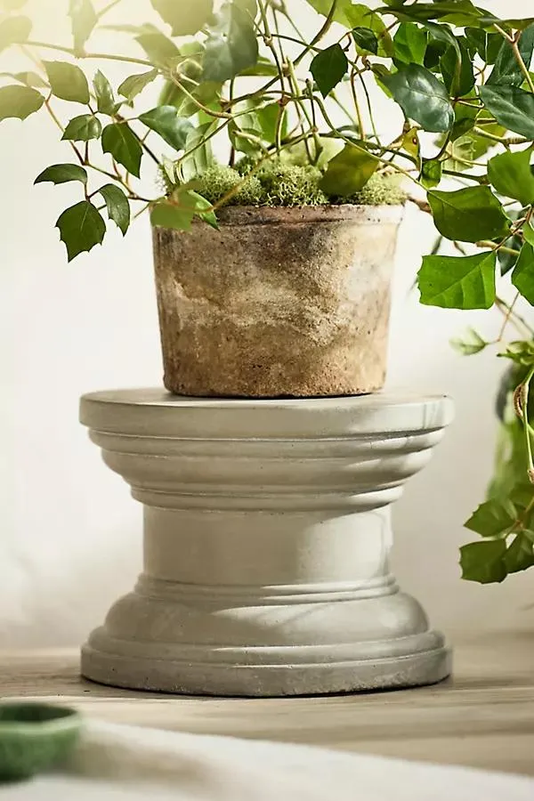 Cement Pedestal Plant Stand, Round