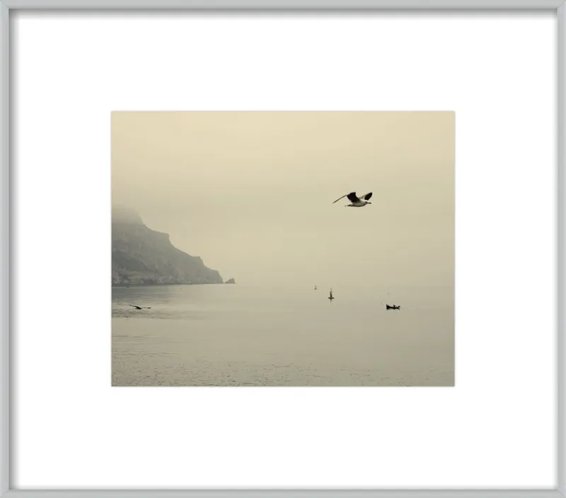 one day I will fly away by Ingrid Beddoes for Artfully Walls