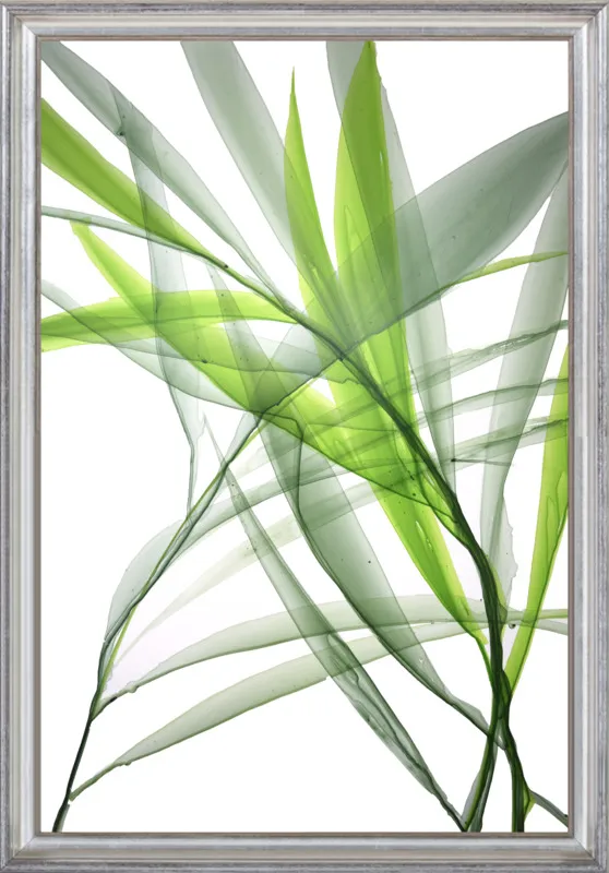 Tropical Study no. 3 by Marina Dunbar  for Artfully Walls