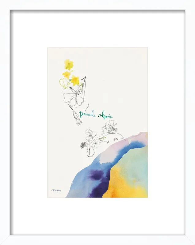 Primula Vulgaris by META WRABER for Artfully Walls
