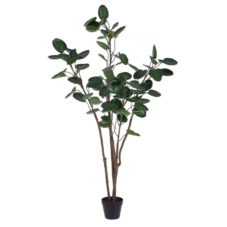 Safavieh Faux 59" Potted Polyscias Tree