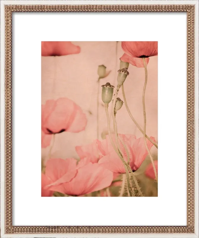 dreaming by Iris Lehnhardt for Artfully Walls
