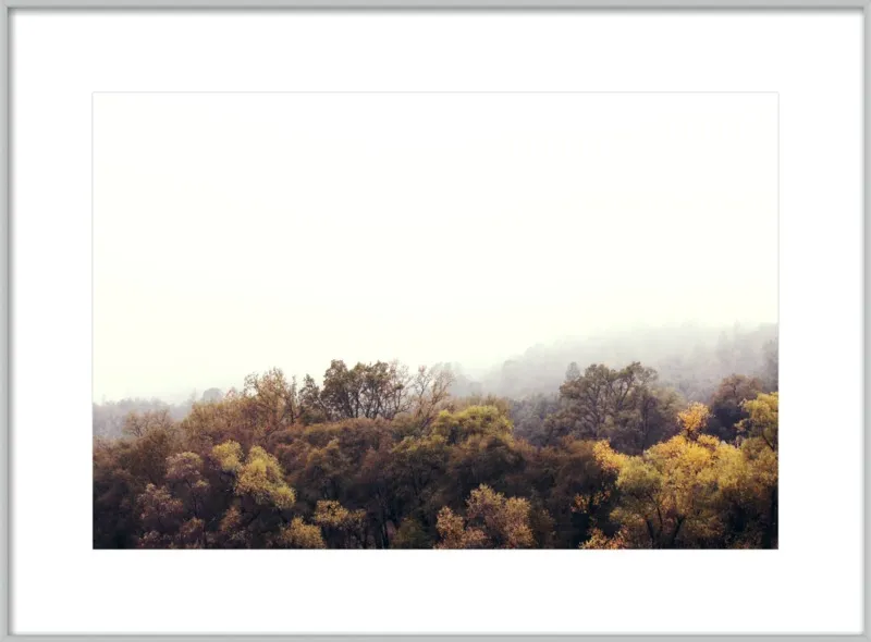 Autumn Afternoons by Hope Bainbridge  for Artfully Walls