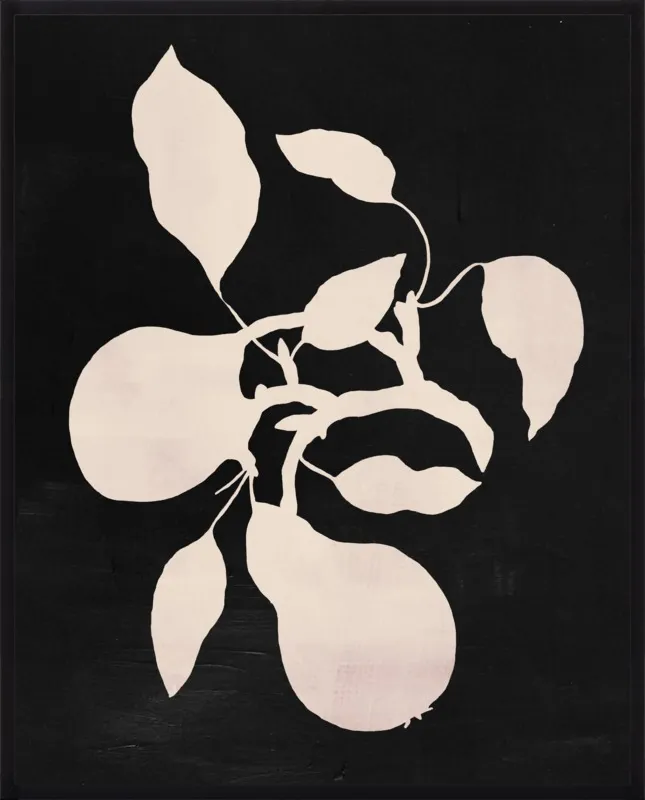 pears black and white by Ruti Shaashua for Artfully Walls