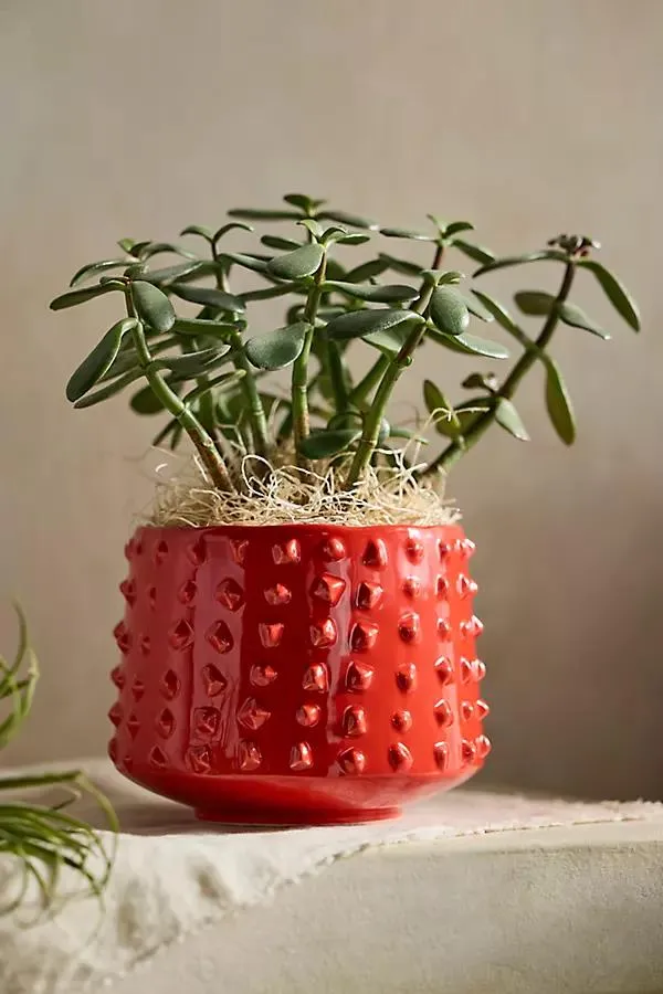 Hobnail Stoneware Planter