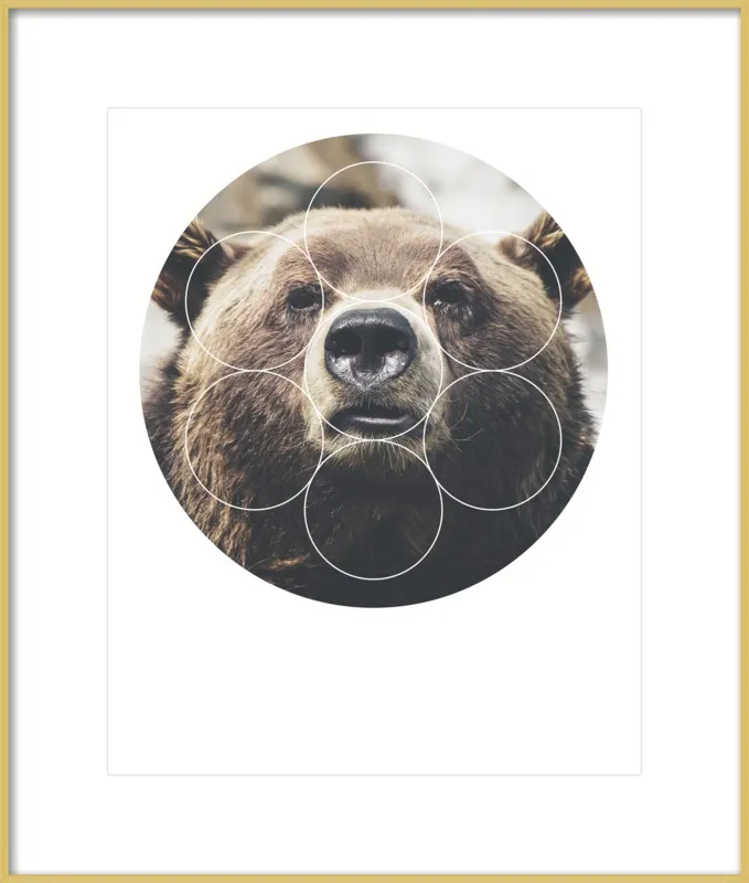 Big Bear Buddy - Geometric Photography by Emiliano Deificus for Artfully Walls
