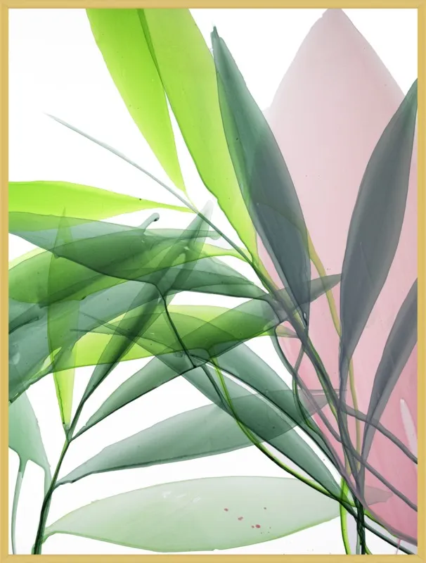 Tropical Study no. 15 by Marina Dunbar  for Artfully Walls