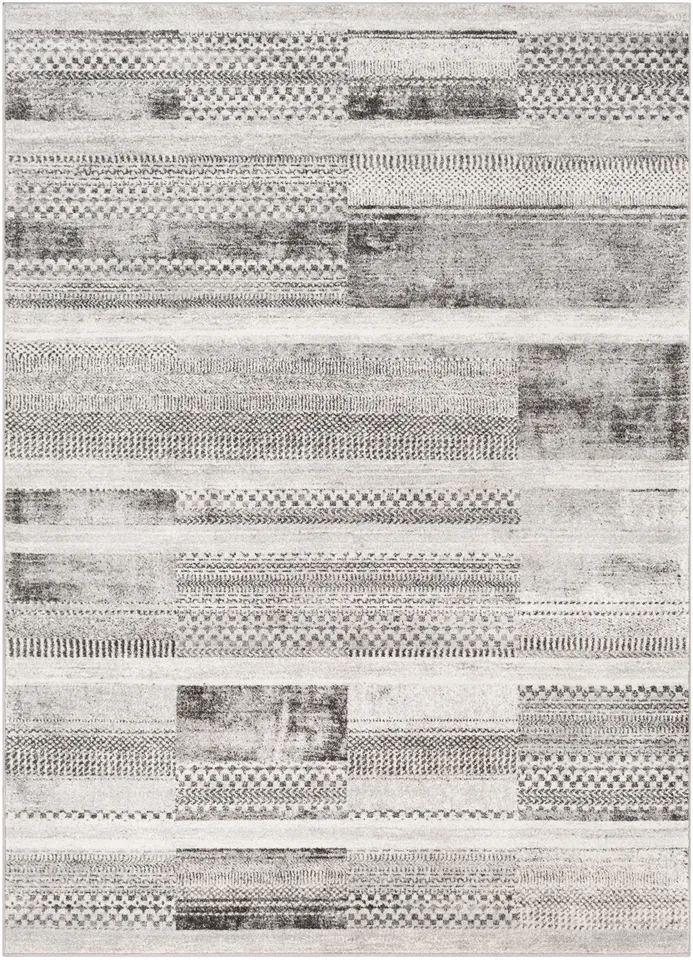 Nepali Gray Indoor 8'10" x 12'4" Machine Woven Rug