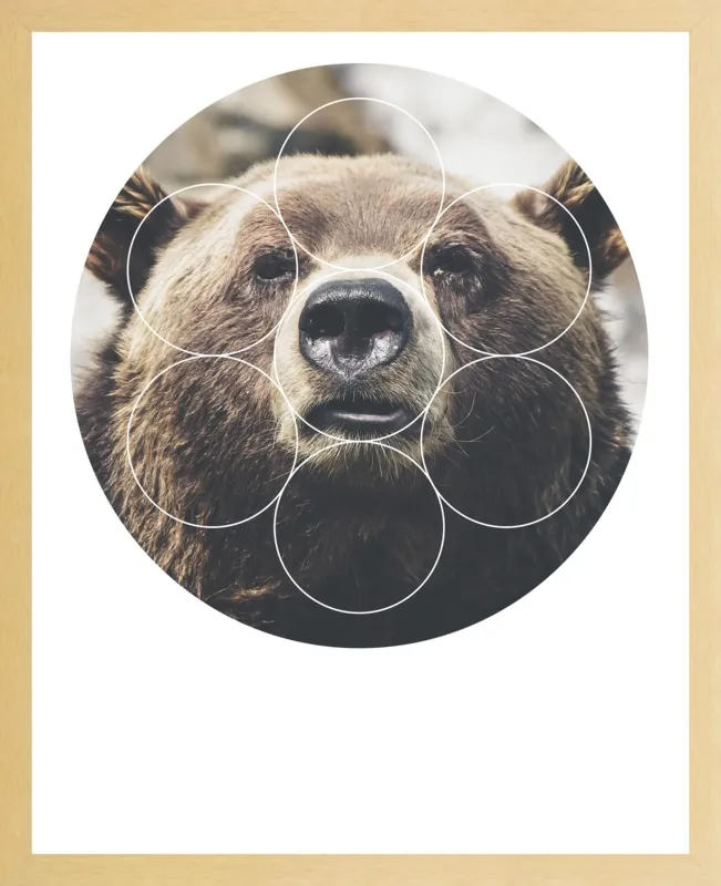Big Bear Buddy - Geometric Photography by Emiliano Deificus for Artfully Walls