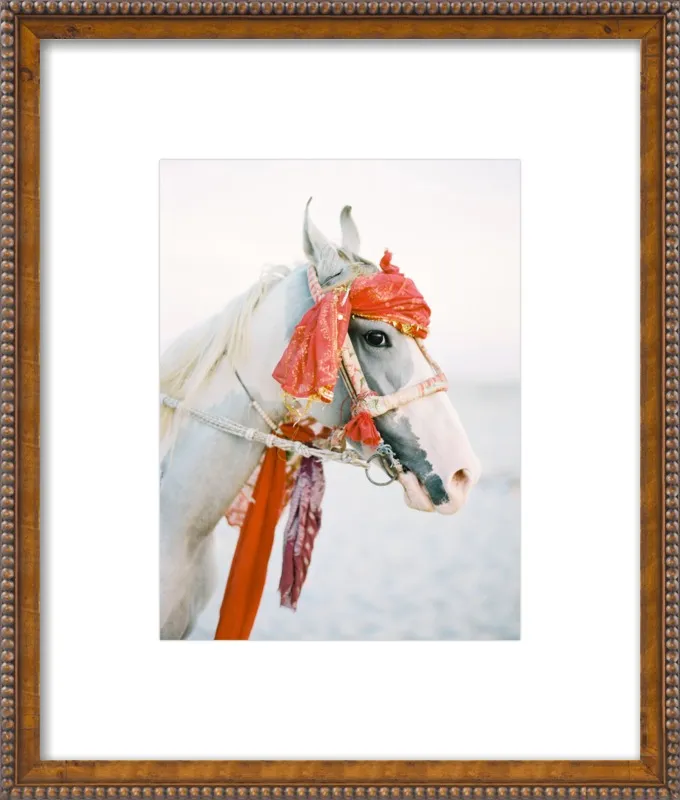 Marwari by Andrew Jacona for Artfully Walls