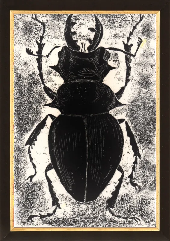 Black Beetle on White by Tennopent Sooster for Artfully Walls