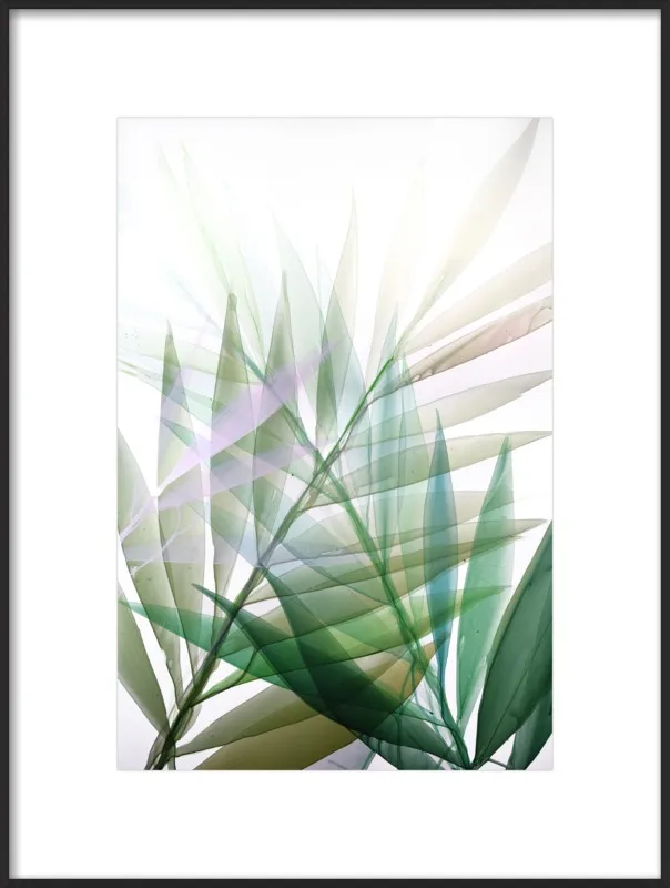 Tropical Study no. 8 by Marina Dunbar  for Artfully Walls