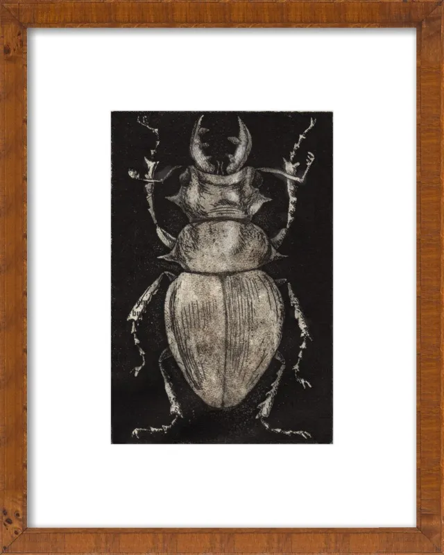 Grey Beetle on Black by Tennopent Sooster for Artfully Walls