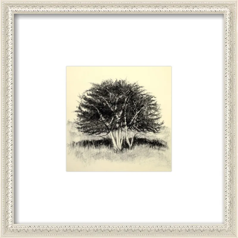 Old Apple Tree by Rich Gombar for Artfully Walls
