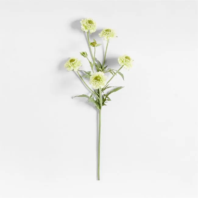 Faux Green Scabiosa Stem 24" by Abigail Ahern