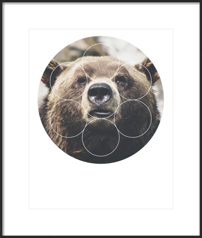 Big Bear Buddy - Geometric Photography by Emiliano Deificus for Artfully Walls