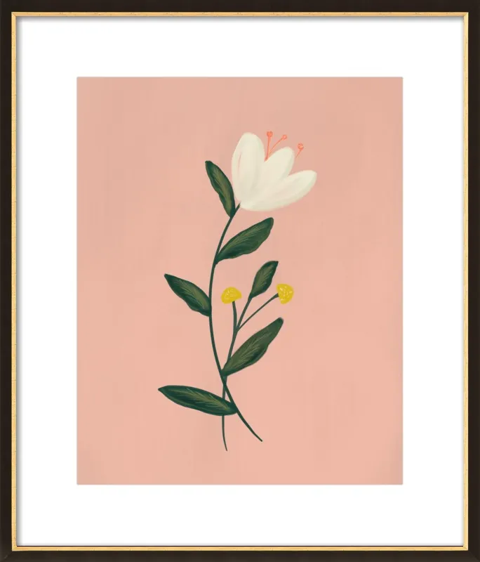 Botanical Illustration No. 3 by Nancy Noreth for Artfully Walls