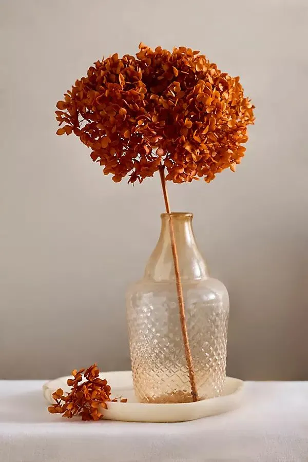 Autumn Hues Dried Hydrangea Bunch