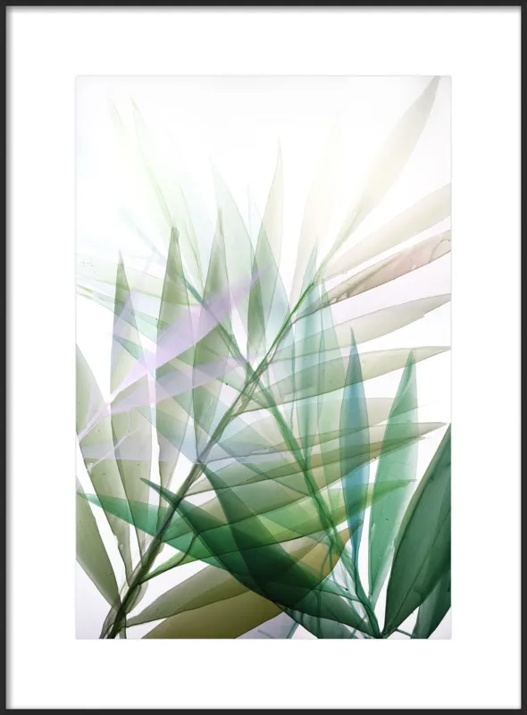 Tropical Study no. 8 by Marina Dunbar  for Artfully Walls