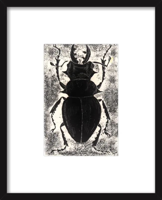 Black Beetle on White by Tennopent Sooster for Artfully Walls