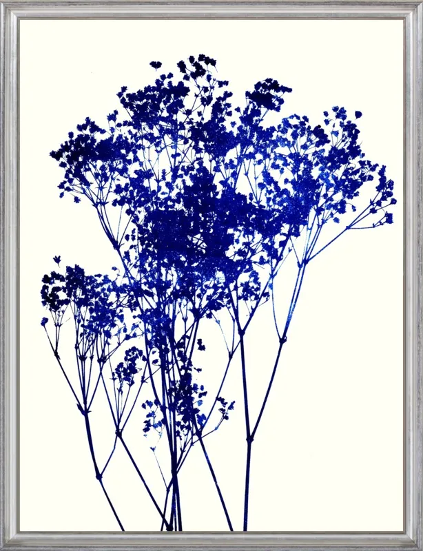 Baby's Breath Indigo by Garima Dhawan for Artfully Walls