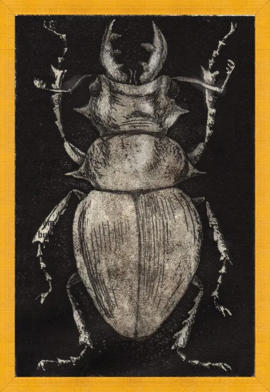 Grey Beetle on Black by Tennopent Sooster for Artfully Walls