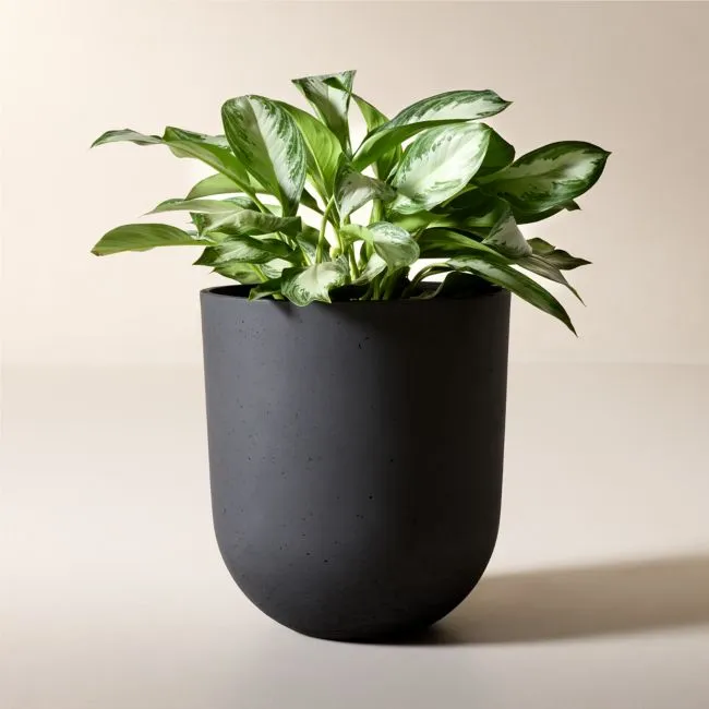 Seminyak Black Cement Indoor/Outdoor Large Planter 22"H