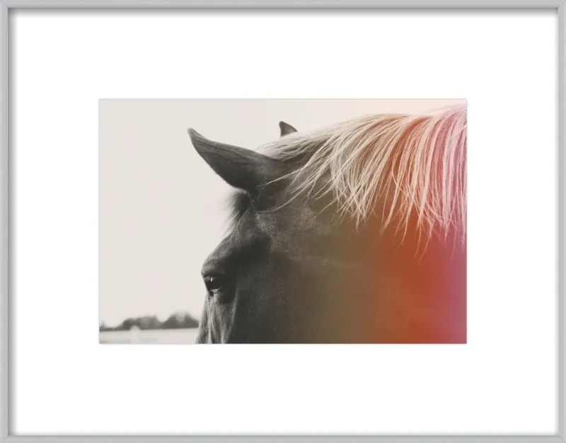 Pink Pony by Alicia Bock for Artfully Walls