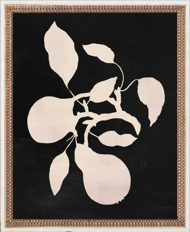 pears black and white by Ruti Shaashua for Artfully Walls