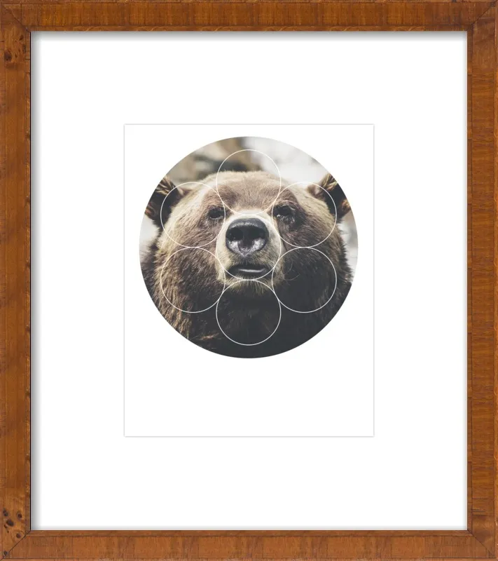 Big Bear Buddy - Geometric Photography by Emiliano Deificus for Artfully Walls