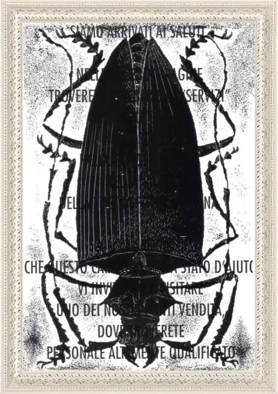 Black Beetle on Words by Tennopent Sooster for Artfully Walls