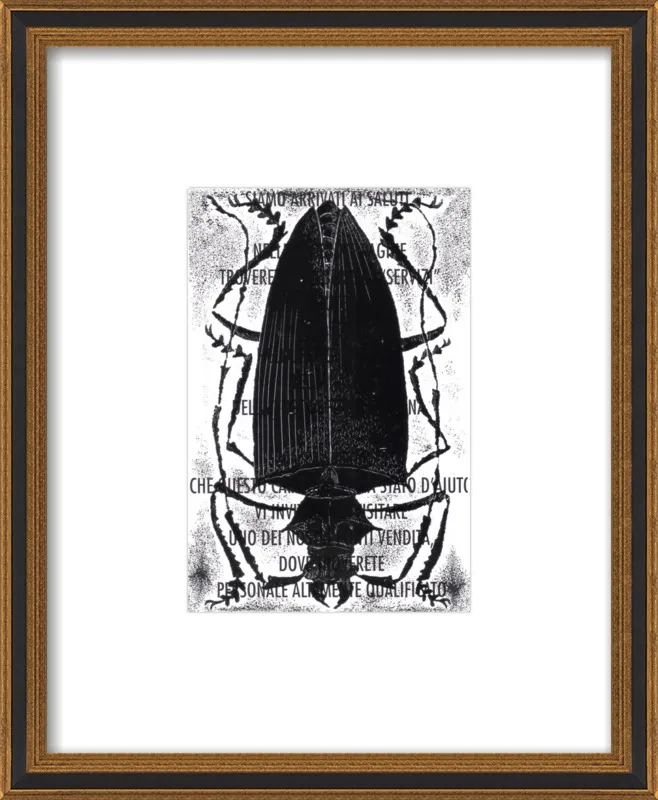 Black Beetle on Words by Tennopent Sooster for Artfully Walls