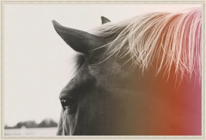 Pink Pony by Alicia Bock for Artfully Walls
