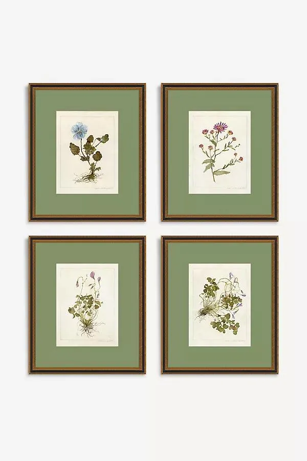 Classic Botanical Gallery Wall Art