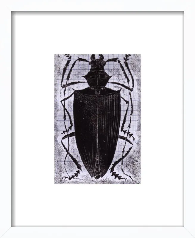 Black Beetle on Grey by Tennopent Sooster for Artfully Walls