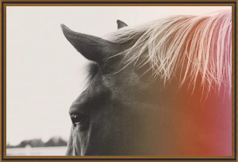 Pink Pony by Alicia Bock for Artfully Walls