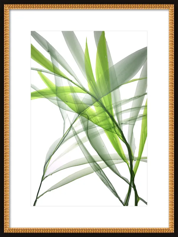 Tropical Study no. 3 by Marina Dunbar  for Artfully Walls