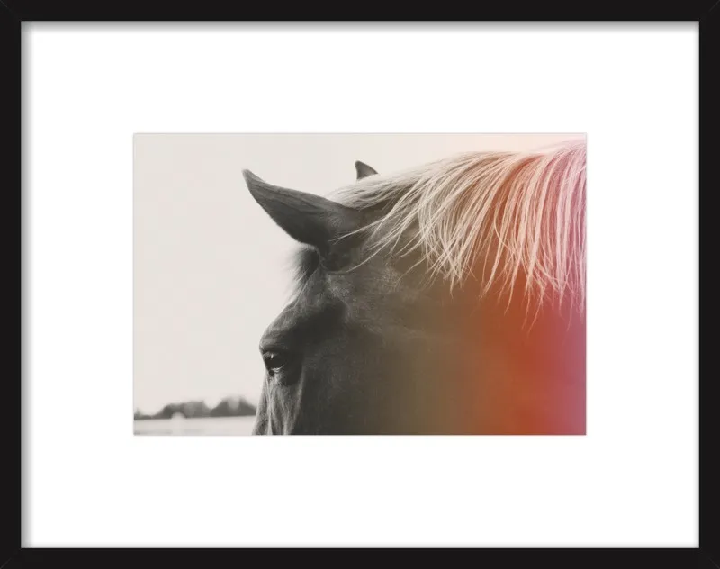 Pink Pony by Alicia Bock for Artfully Walls