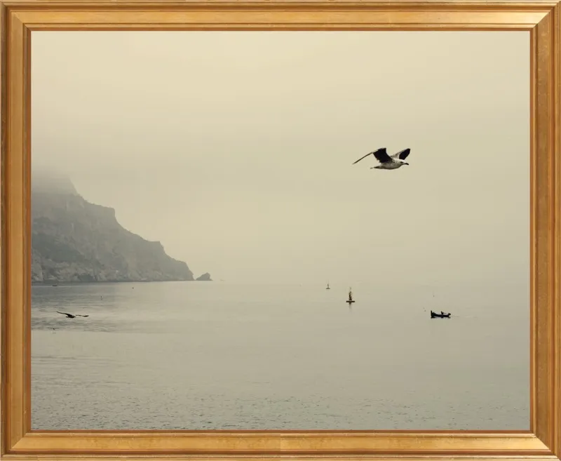 one day I will fly away by Ingrid Beddoes for Artfully Walls