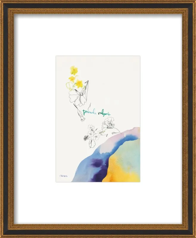 Primula Vulgaris by META WRABER for Artfully Walls
