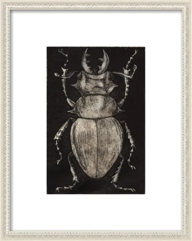 Grey Beetle on Black by Tennopent Sooster for Artfully Walls