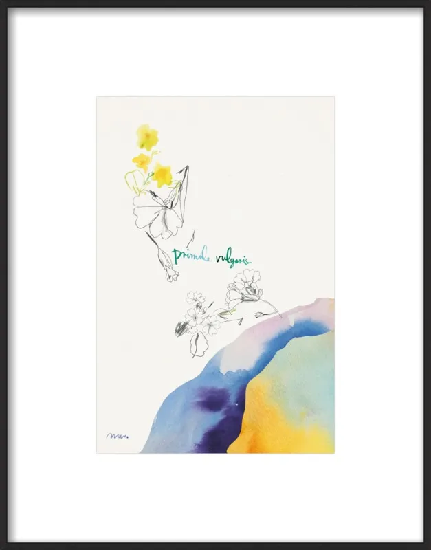 Primula Vulgaris by META WRABER for Artfully Walls