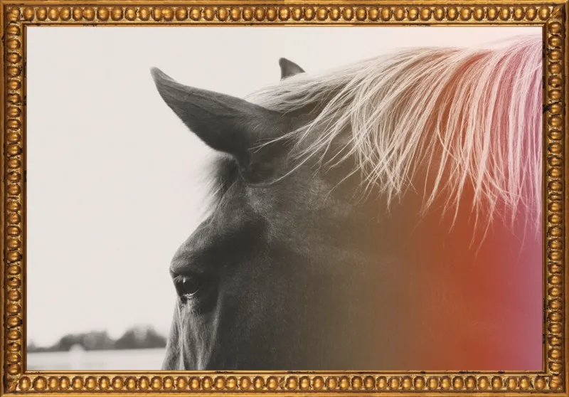 Pink Pony by Alicia Bock for Artfully Walls