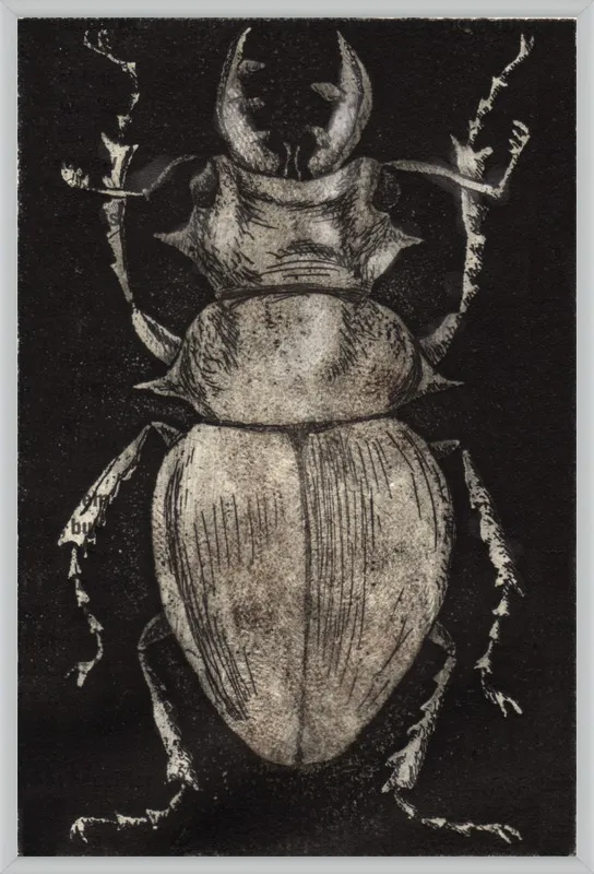 Grey Beetle on Black by Tennopent Sooster for Artfully Walls
