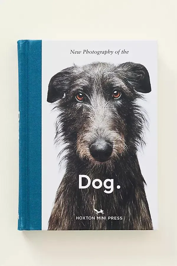 New Photography Hardcover Book