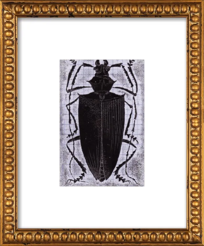 Black Beetle on Grey by Tennopent Sooster for Artfully Walls